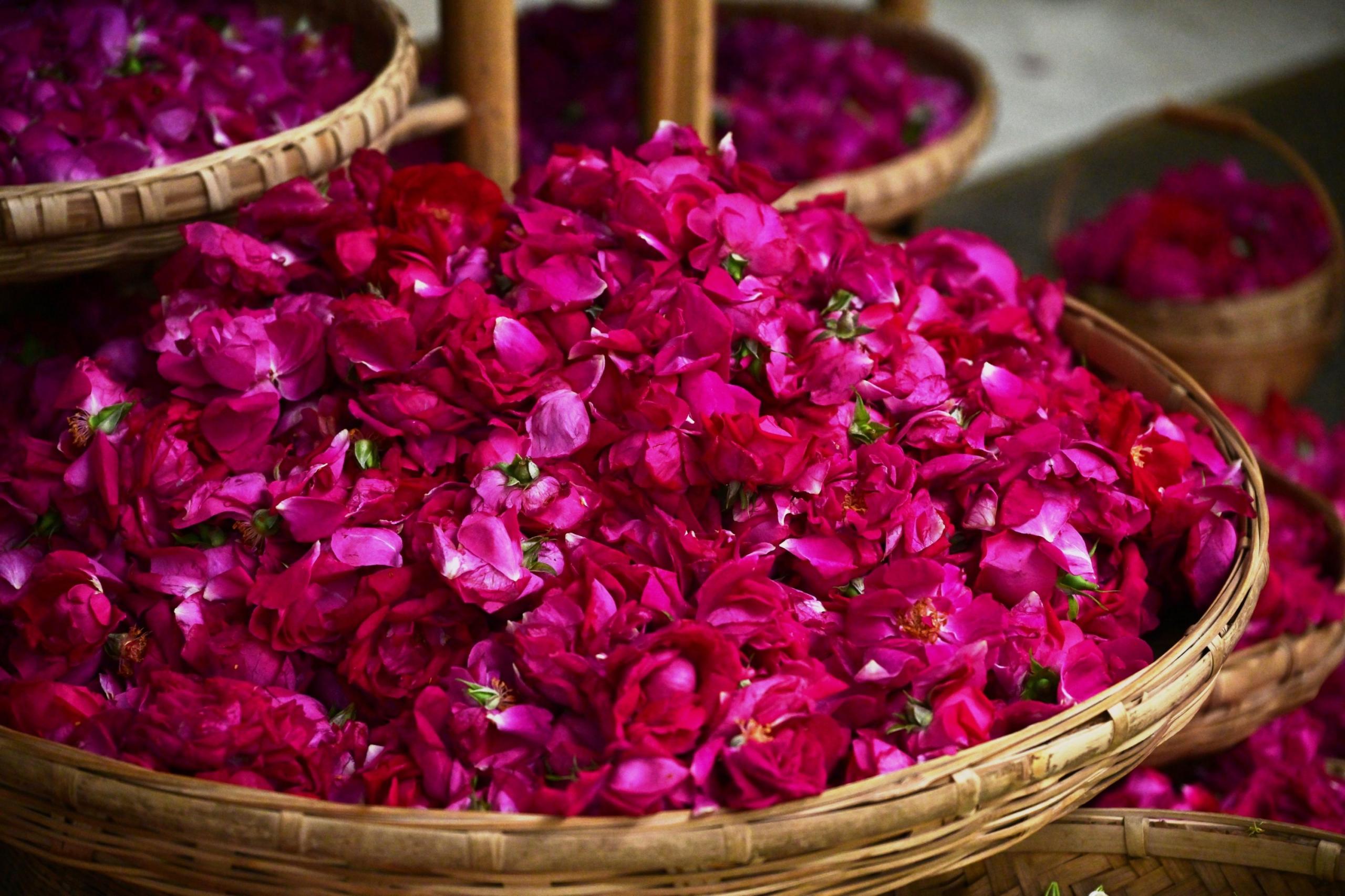 – 《鲜花饼店的玫瑰》[16P]