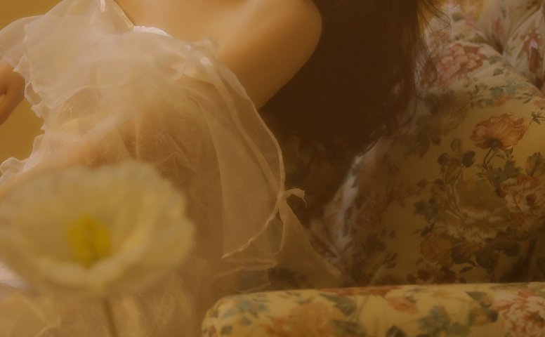 Bibo – 《以花为名》[9P]